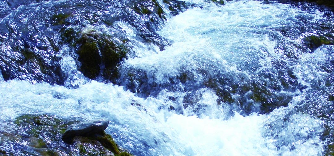 水